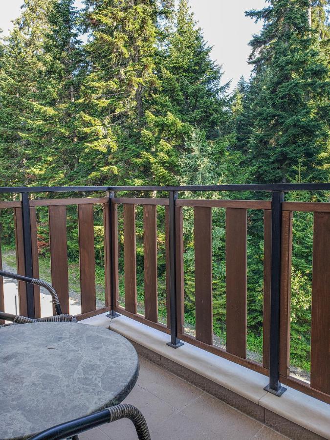 Lovely Borovets Apartment Exterior foto